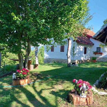 טיינטישטה Etno Guest House Lalovic מראה חיצוני תמונה