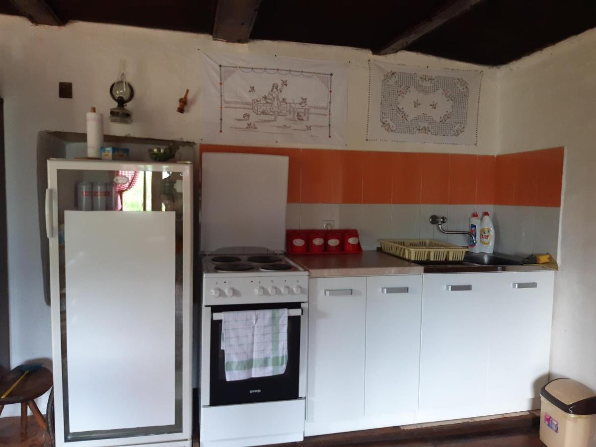 טיינטישטה Etno Guest House Lalovic מראה חיצוני תמונה