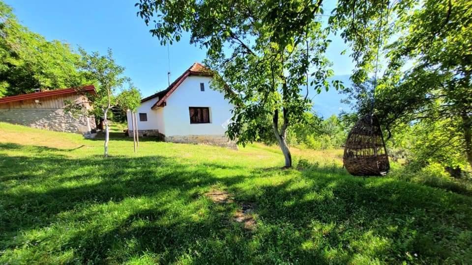 טיינטישטה Etno Guest House Lalovic מראה חיצוני תמונה