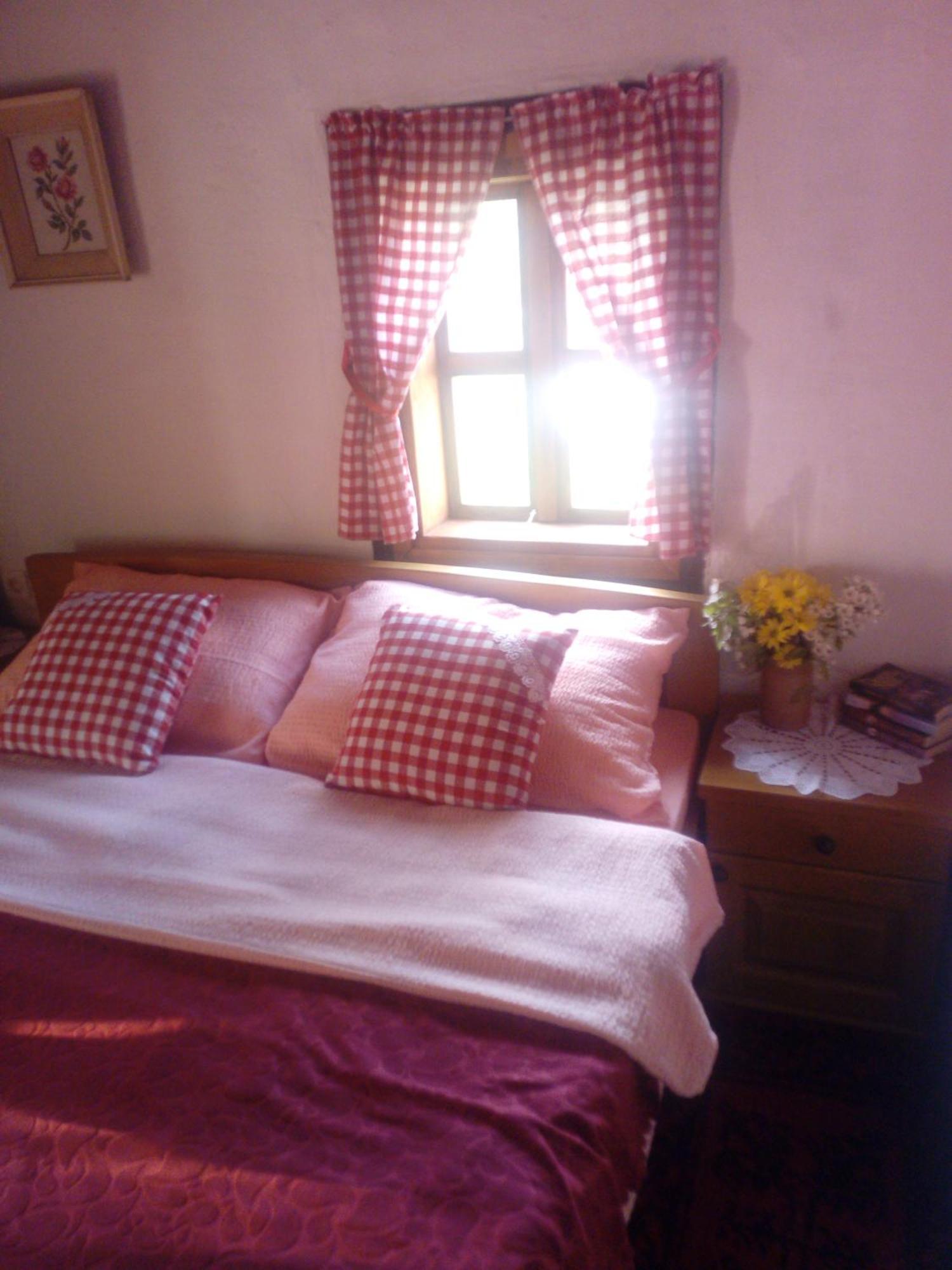 טיינטישטה Etno Guest House Lalovic חדר תמונה