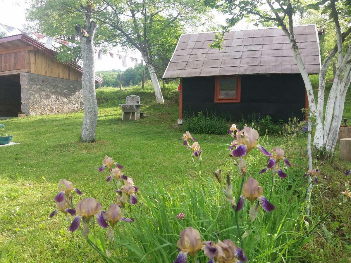 טיינטישטה Etno Guest House Lalovic מראה חיצוני תמונה
